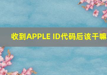 收到APPLE ID代码后该干嘛